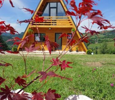 Bistra Cabina | A Frame Panoramic Apuseni