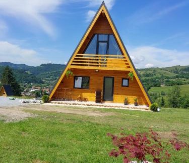 Bistra Cabina | A Frame Panoramic Apuseni