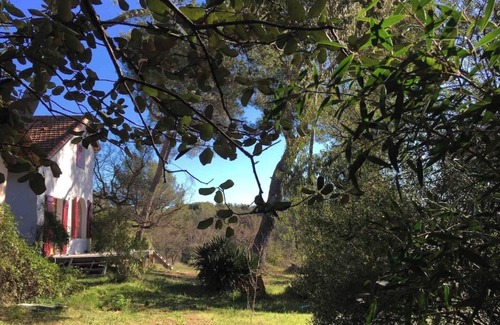 Aubagne Casa | A haven of freshness in a magnificent green setting
