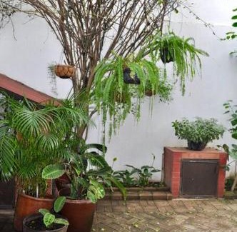 Antigua Guatemala Casa | A home in the heart of Antigua