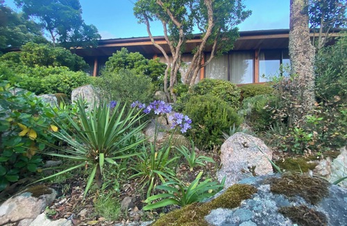 Pietrosella Casa | A house among the trees