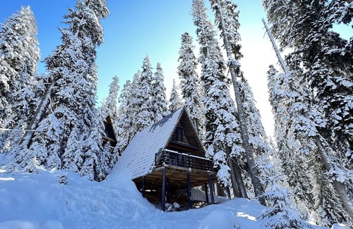 Bakhmaro Cabaña | A house in the forest, if you want to relax in the forest and be alone. hot tub