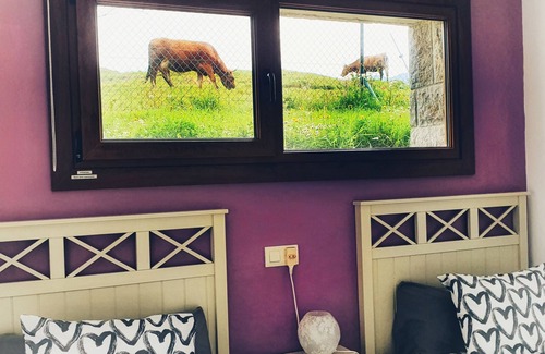 Llanes Casa | una casa para desconectar de la rutina y disfrutar con tus peludos.