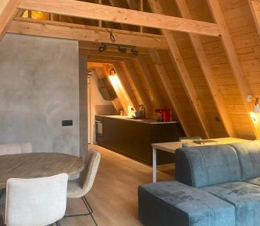 Norg Casa | A-huis in het bos van Drenthe