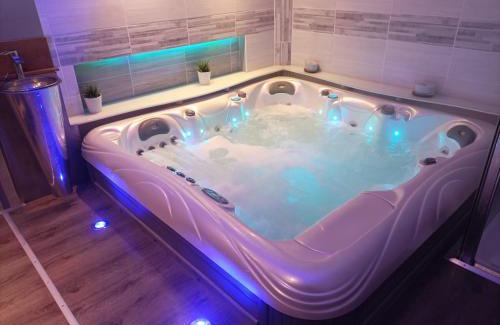 Epinal Apartamento | A l'Ombre du Lilas II - avec Spa privatif en supplément