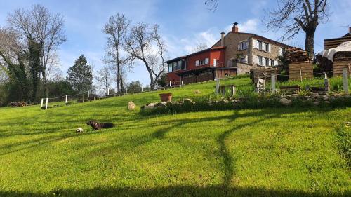 Sainte-Catherine Cama Y Desayuno | A l'orée des volcans