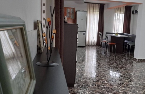 Poiana Tapului Casa | A nice and worm guest house to stay for a few days or more! Mountain View