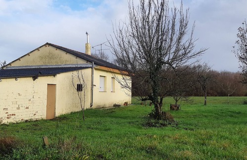 Mos Casa | La Casa del Tío Antonio, en Galicia. Un refugio entre arboles. Acepta mascotas