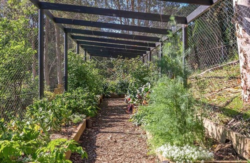 Byron Bay Cabina | UNA ESTANCIA PERFECTA - Ourmuli Cabin