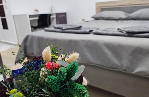 Pitesti Apartamento | A place that feels like home away from home - Tony's Studios Comfort