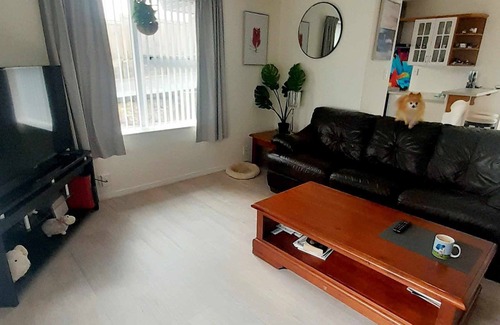 Newlands Casa | A place to stay in a home with the Host, bring your pets along.