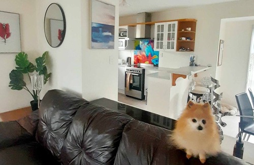 Newlands Casa | A place to stay in a home with the Host, bring your pets along.