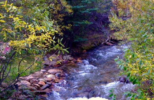 Idaho Springs Cabina | Una cabaña de lujo frente al río en la montaña: el mejor lugar para relajarse, esquiar y hacer rafting en Colorado