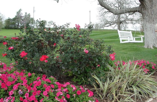 Brenham Cabaña | A Romantic Escape at Tara Farms