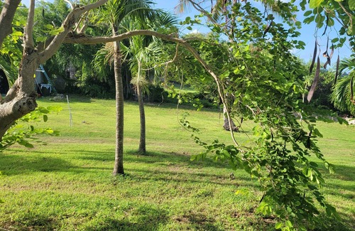 Estate Montpellier East Casa | A&S Tropical Cottage on 1 1/2 acres of paradise Clothing Optional