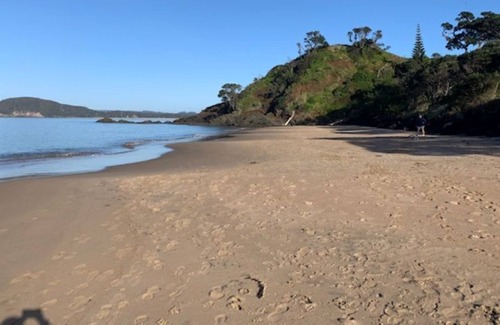 Tutukaka Casa | A Slice of Kiwi Paradise!