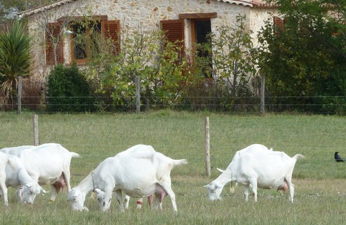 Villecroze Casa | Una pequeña casa de piedra en Provenza
