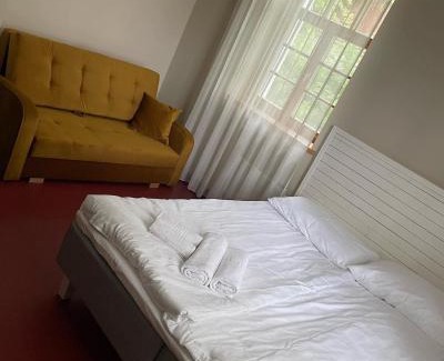 Vilnius County Casa | A. Smetonos Dvaro Smetonienės svetainė