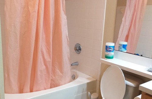 Sugar Land Apartamento | A spacious 1-bedroom with bathroom available in a 2-bedroom apartment