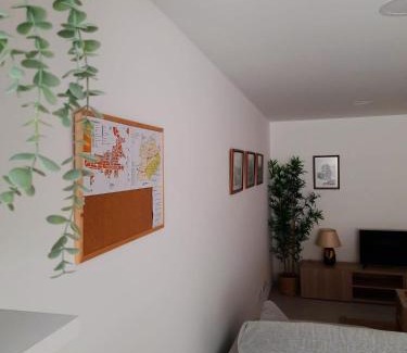 Mogadouro Apartamento | A Toca dos Coelhos