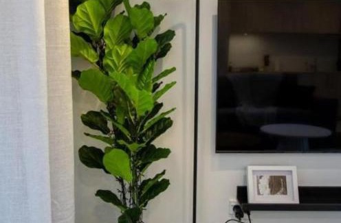 Christchurch City Centre Apartamento | A touch of Luxury in Chch CBD