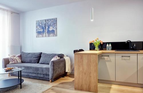 Koszalin Apartamento | A&W Apartament Franciszkańska