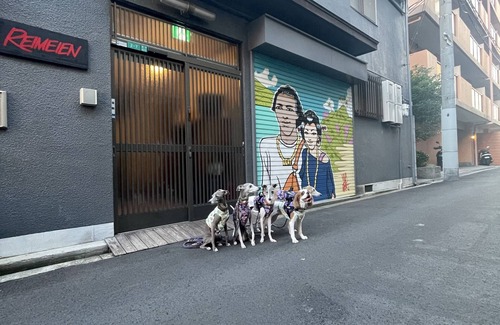 Minato Casa | A whole house is rented out. Bicycle parking with shutters for motorcycles. Conveniently located to Kaiyukan and Univa