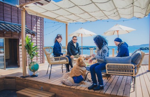 Sado Casa | A310to Dog: Sakashima Dog Resort