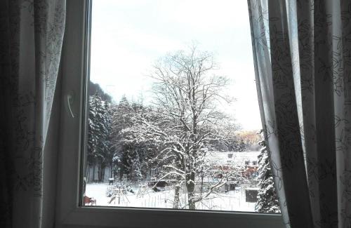 Loucna nad Desnou Apartamento | a34