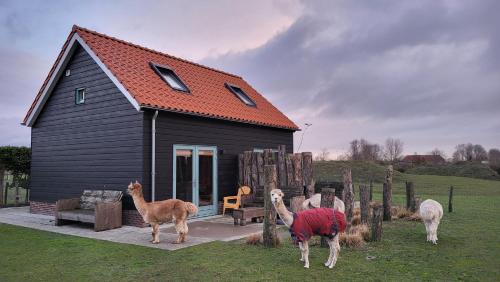 Aagtekerke Casa | Aan de Waterspiegel