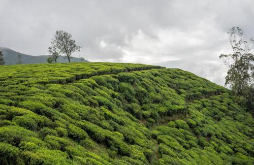 Hapugastalawa Hotel | Aaradhya Nuwara Eliya