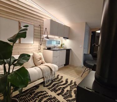 Rovaniemi Cabina | Aava Riverside