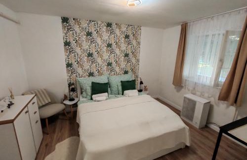 Abadszalok Apartamento | Abádi Pagony vendégház
