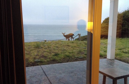 Shelter Cove Condominio | Abalone by OceanviewHotTubs Shelter Cove Oceanfront Tesla Charging
