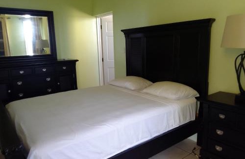 Road Town Casa | Abigail's Sunflower Entire 2 Bedroom Apt