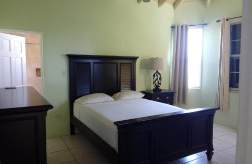 Road Town Casa | Abigail's Sunflower Entire 2 Bedroom Apt