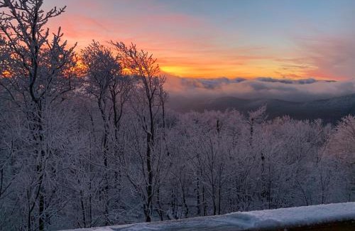 West Jefferson Casa | Above The Clouds
