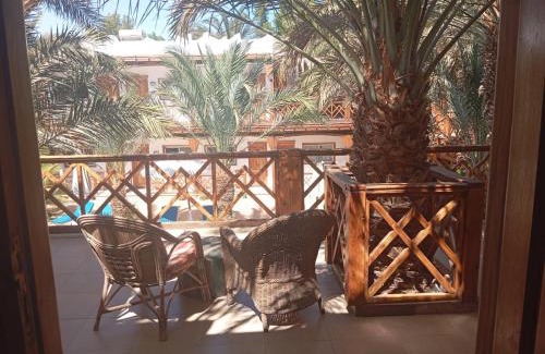 Dahab Complejo | Acacia Dahab Hotel