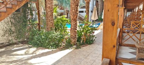Dahab Complejo | Acacia Dahab Hotel