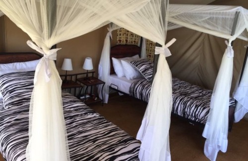 Tarangire National Park Otro | Acacia Tarangire Luxury Camp