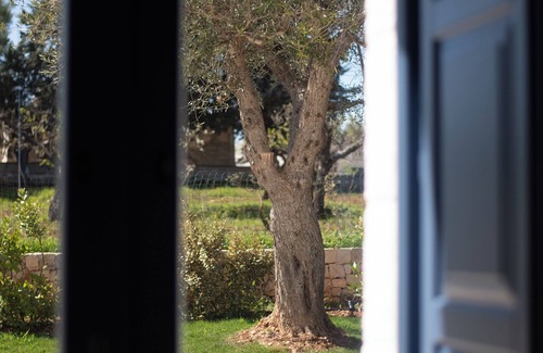 Impalata Casa | Accoglienti Trulli Immersi Nella Campagna, L'ideale per ci Cerca Tranquillità