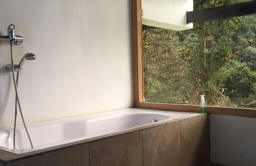 Apuela Cabina | Alojamiento en Intag - Ecuador. Bosque nublado / Cloud Forest.