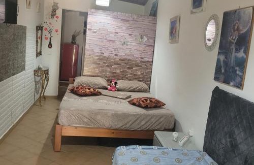 Acharavi Casa | acharavi αχαράβη stone daisy