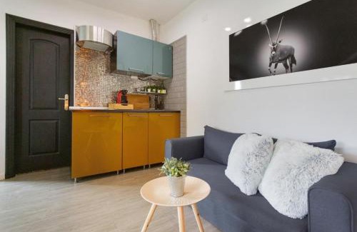 San Cristobal de La Laguna Apartamento | Acogedor estudio en la laguna