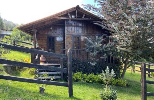 Sogamoso Chalet De Esquí | Acogedora cabaña de madera en la naturaleza para desconectarse
