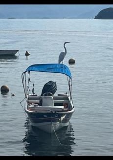 Ilha Grande Casa | Aconchego da Lu