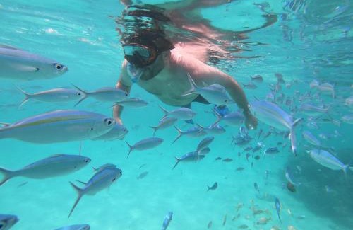 Rasdhoo Casa | Acqua Blu Rasdhoo