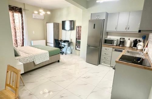 Dafni-Ymittos Apartamento | Acropolis modern apartment with free parking and pet friendly