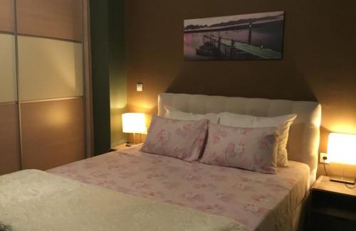 Dafni-Ymittos Apartamento | Acropolis modern apartment with free parking and pet friendly