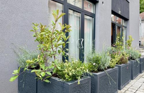 Banovo brdo Apartamento | Ada Smart Apartment